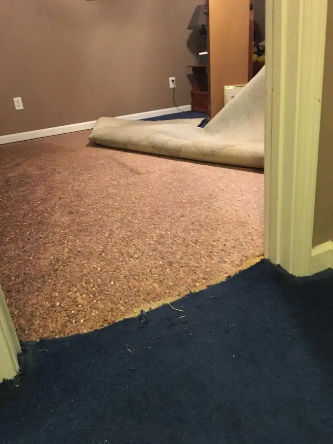 Carpet pad removal revealing water damage during Drying & Dehumidification in Crofton