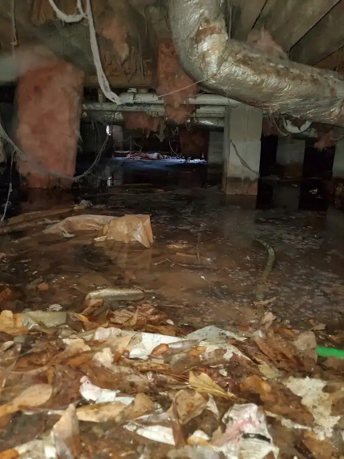 Crawl space flood assessment for Leak Detection & Repair in Crofton