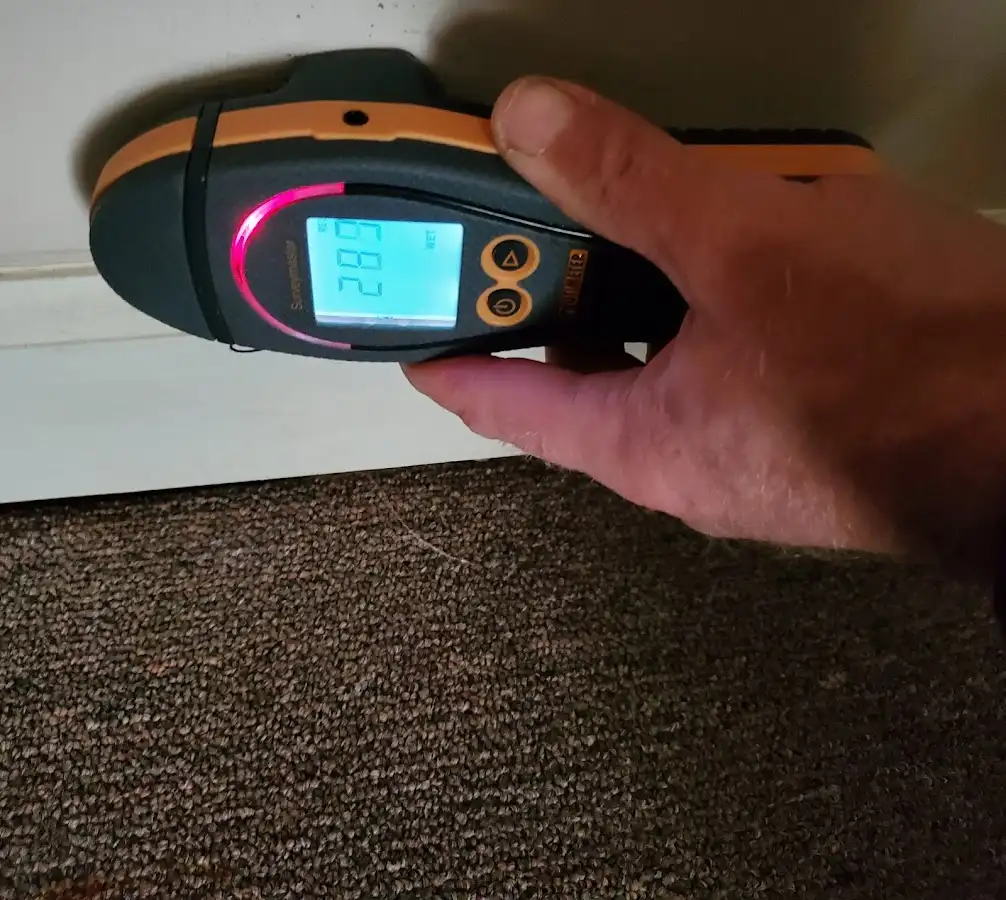 Moisture detection at baseboard during Sewage Cleanup & Sanitation in Crofton